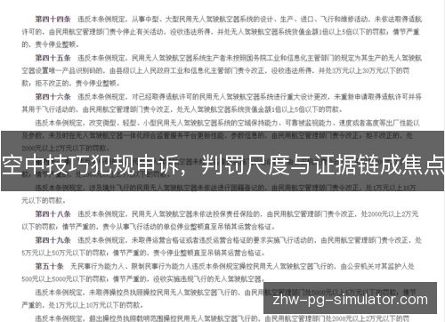 空中技巧犯规申诉，判罚尺度与证据链成焦点